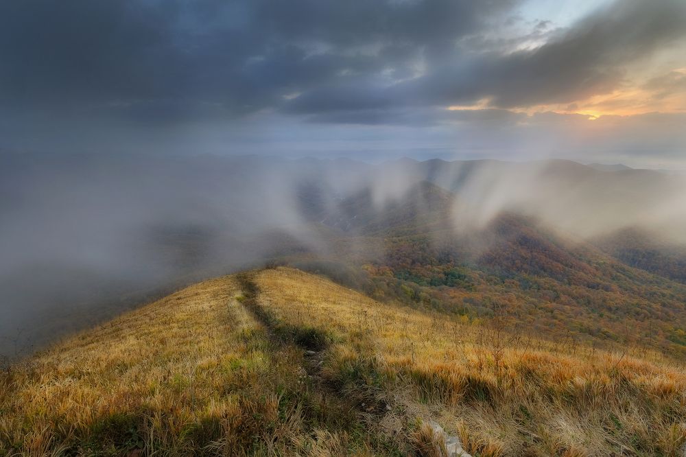 Осенний туман