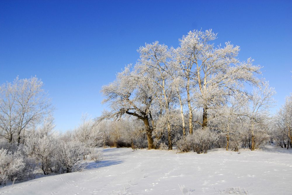 Photograph by Артур Дагнер