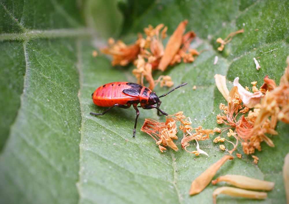 Photograph by Anatolii Graur