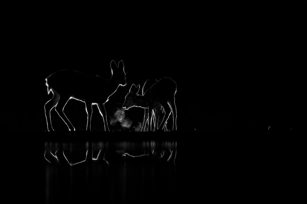 Photograph by Juraj Benčík