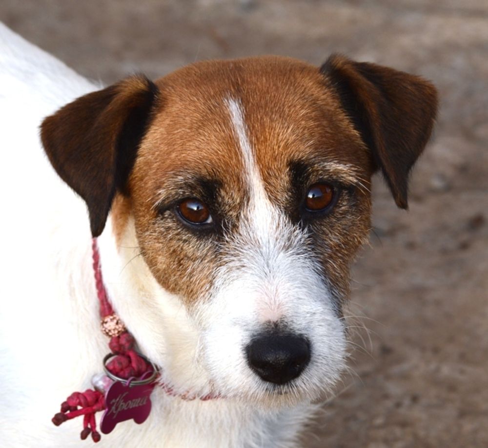 Photograph by Марина Адамковская