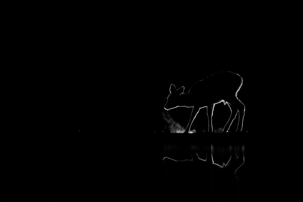 Photograph by Juraj Benčík