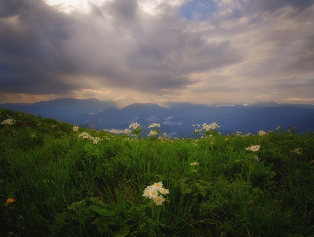 Рассвет на Шесси