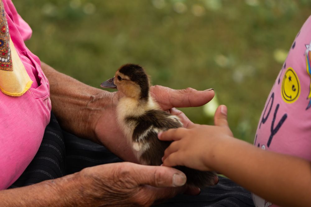 Photograph by Vasyl Manchuk