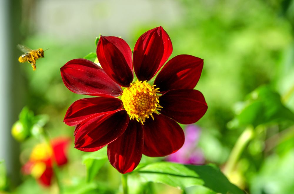 Мир красоты