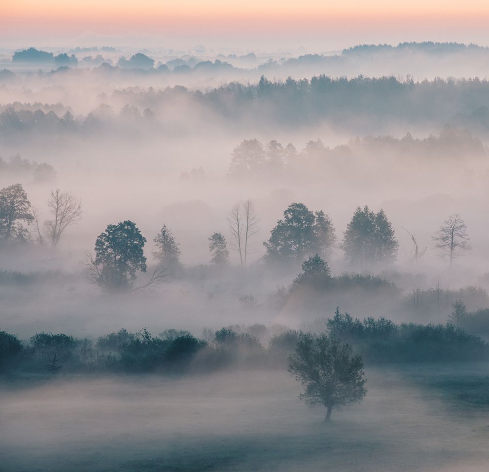 Photograph by Алина Андреева