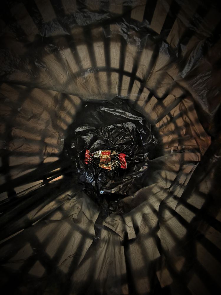 Photograph by Serge S. Pashintsev