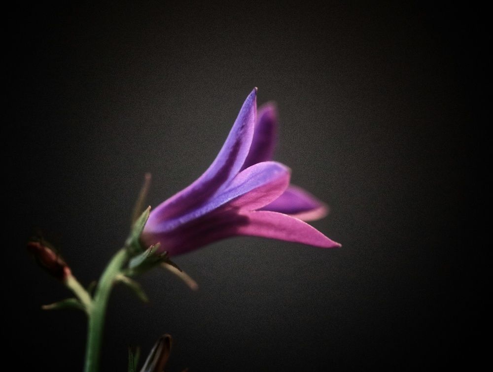 Photograph by Eva Wiedemann