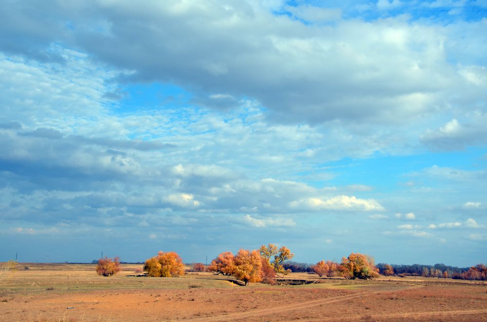 Photograph by Артур Дагнер