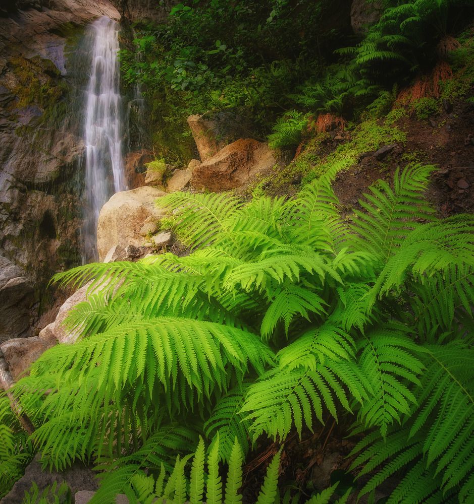 Затерянный мир