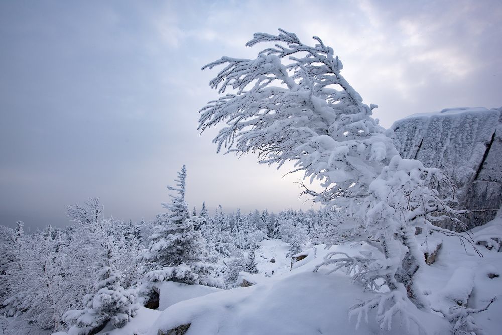 Фотография автора Сергей Сынтин