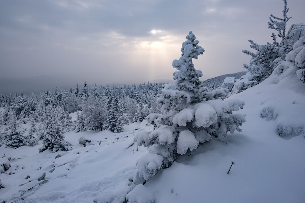 Фотография автора Сергей Сынтин