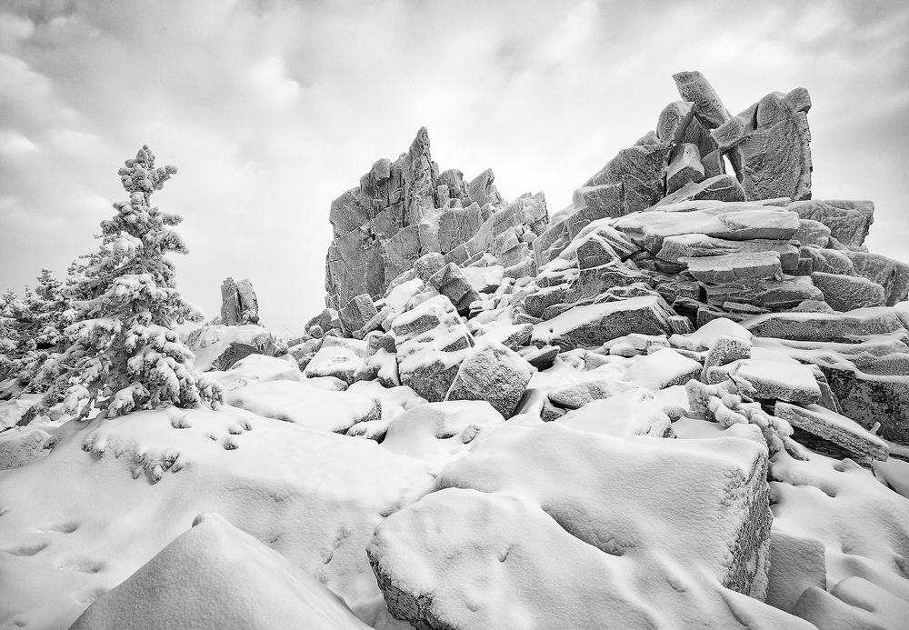 Фотография автора Сергей Сынтин