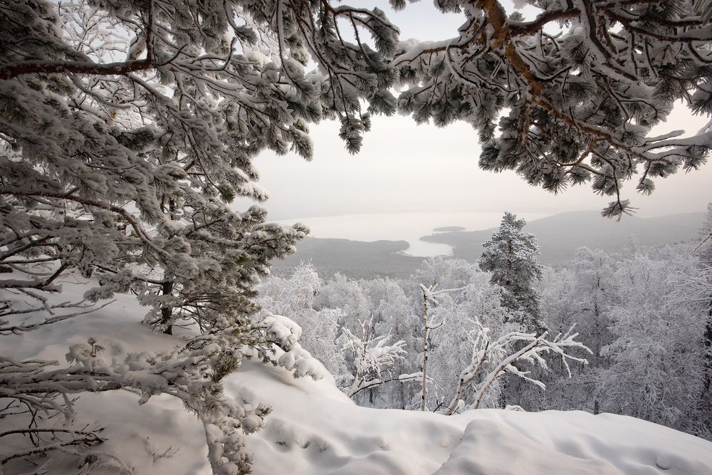 Фотография автора Сергей Сынтин