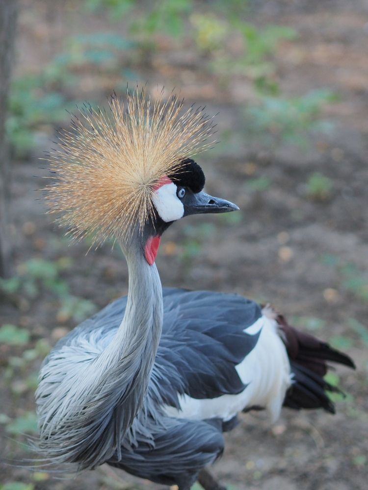Photograph by Дмитрий Панченко
