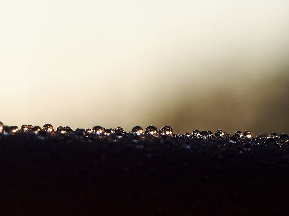 Photograph by Serge S. Pashintsev