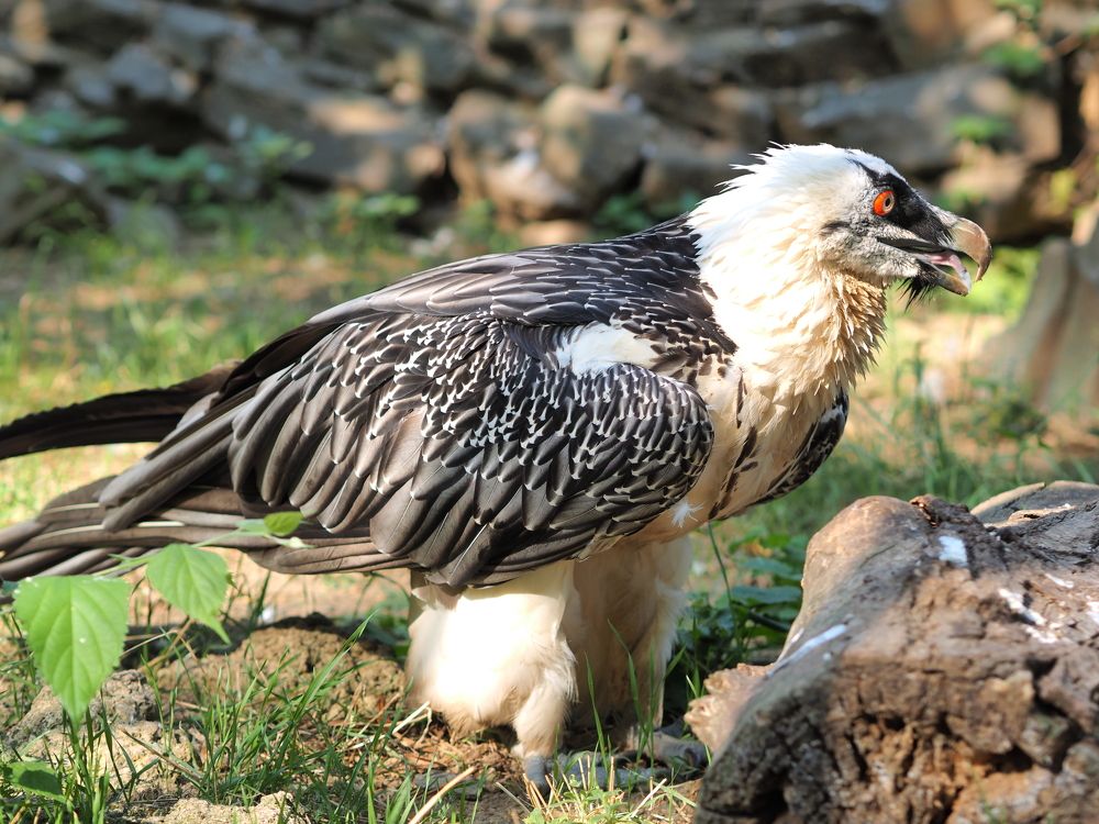 Photograph by Дмитрий Панченко