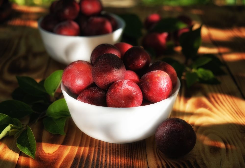 Photograph by Олеся Федосеенкова