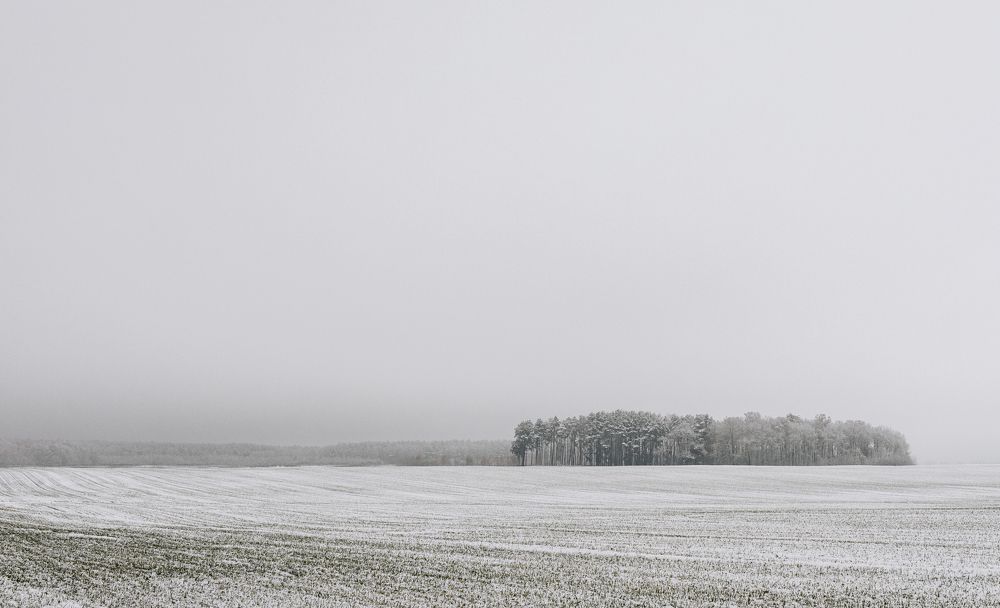 Photograph by Алина Андреева