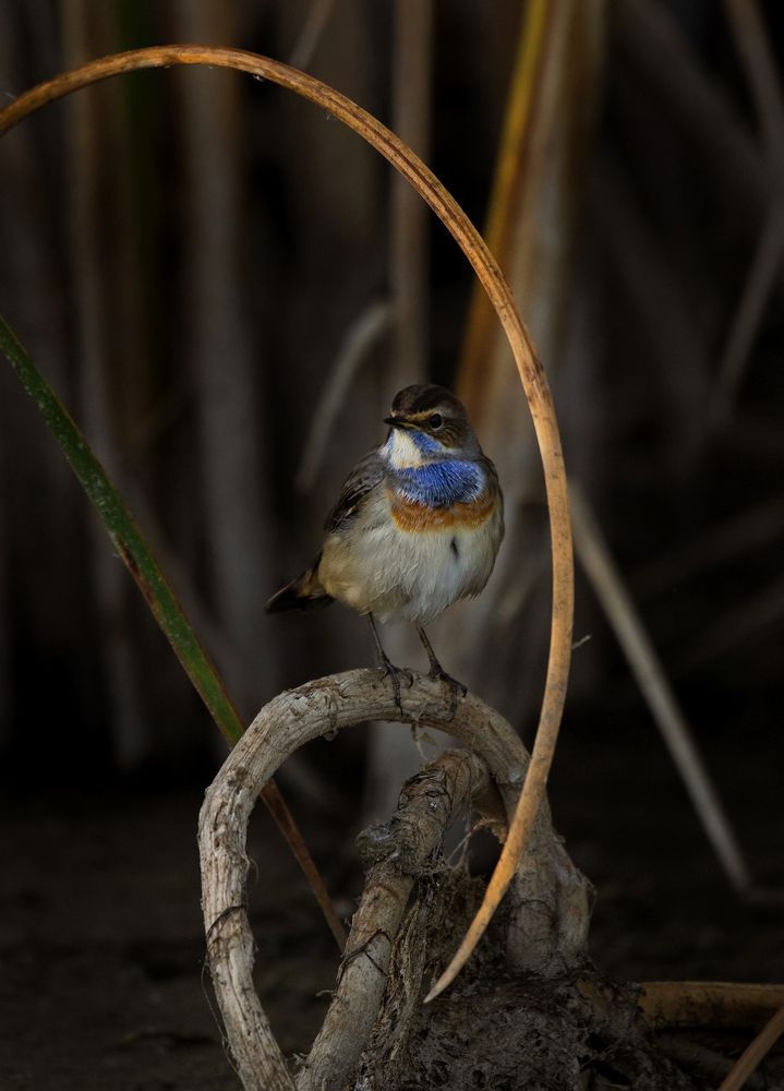 Photograph by Vassilis Theodoridis
