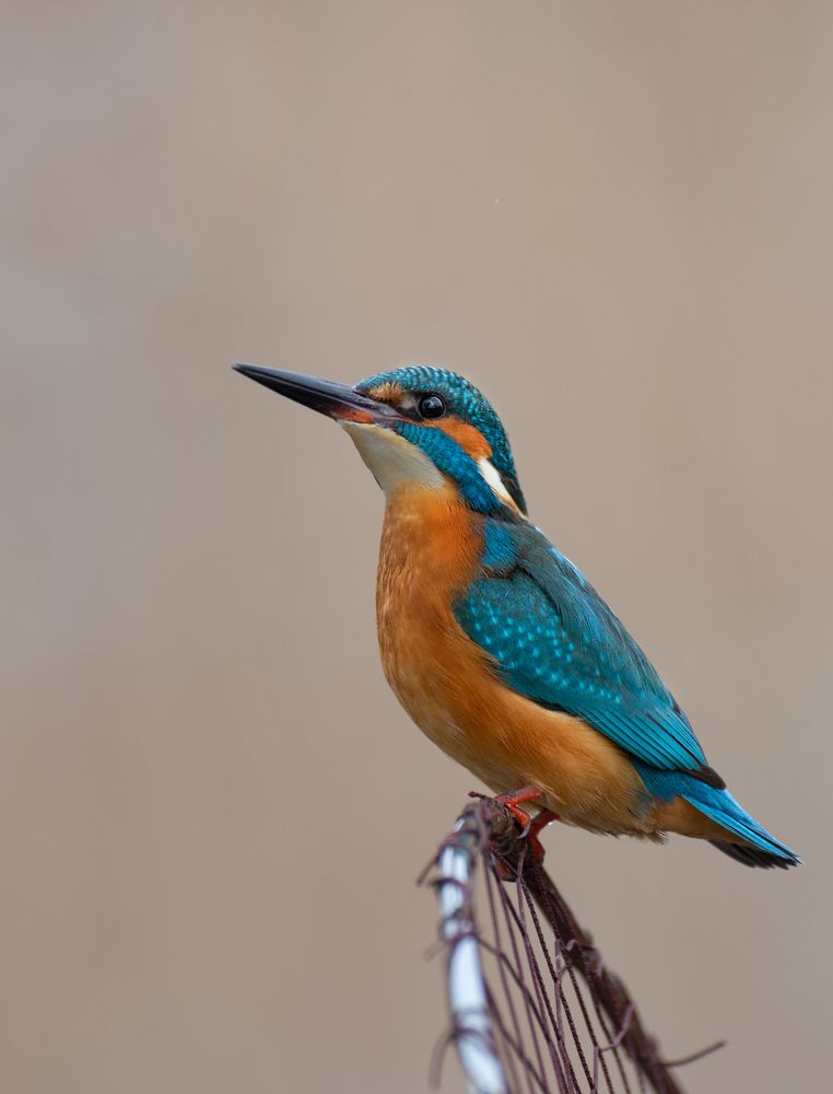 Photograph by Vassilis Theodoridis