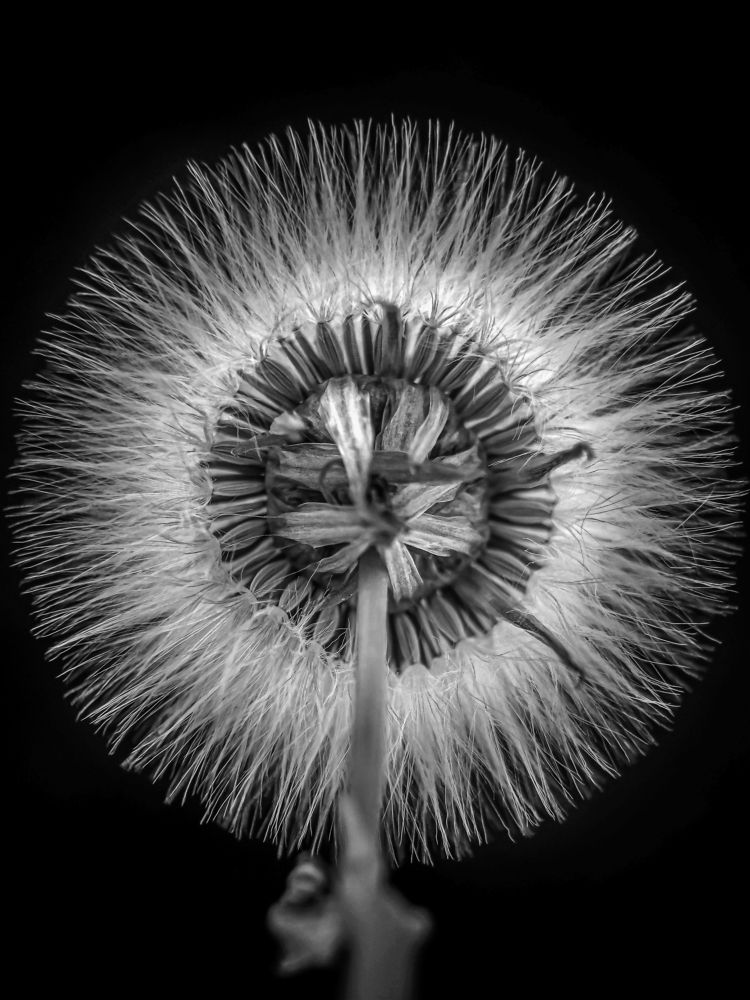 Photograph by Марина Сидоренко