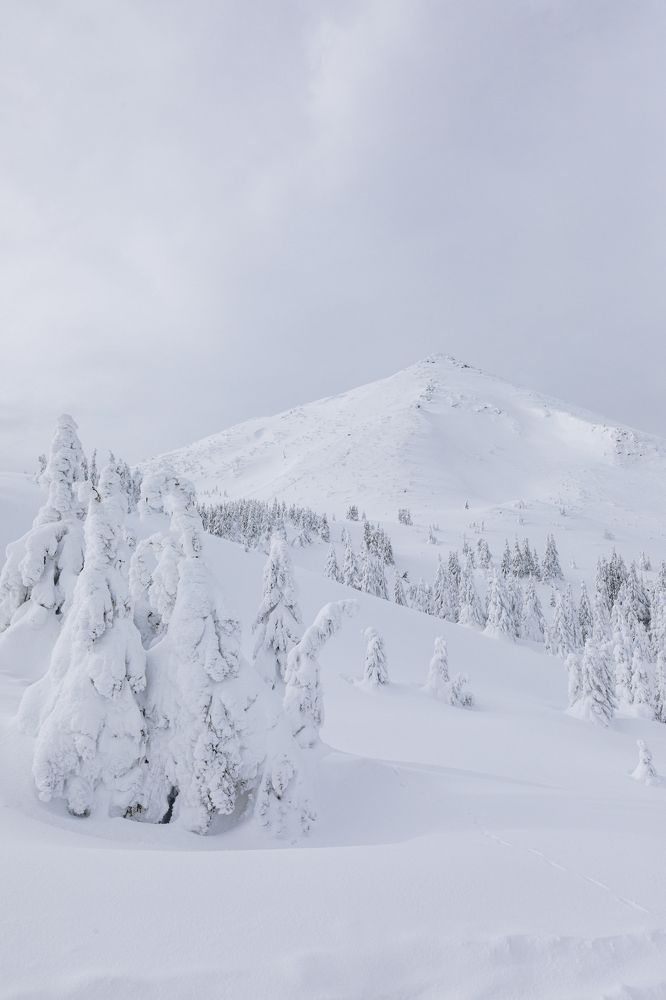 Photograph by Алина Андреева