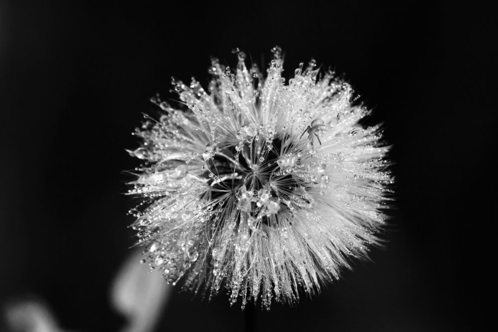 Фотография автора Дарья Шамакина