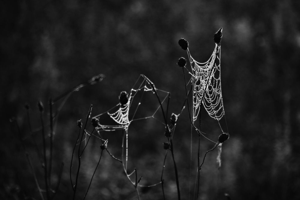 Фотография автора Дарья Шамакина