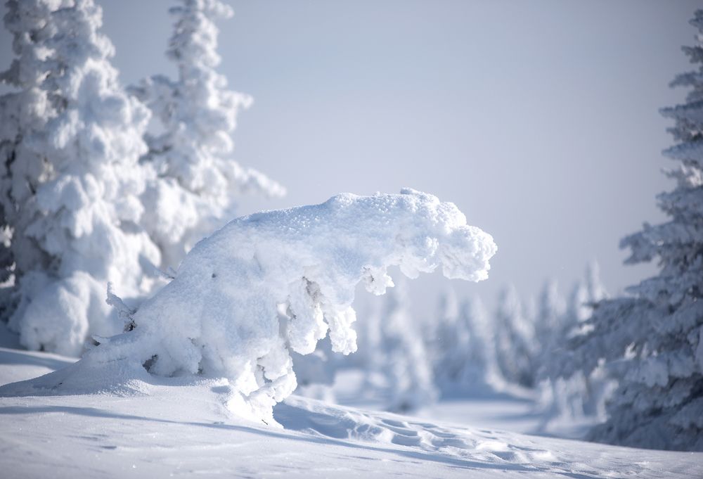 Фотография автора Сергей Сынтин