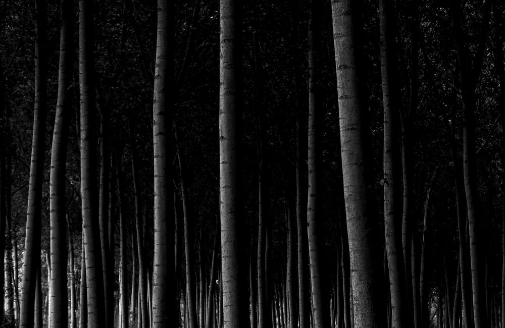 Photograph by Margherita Franzoni