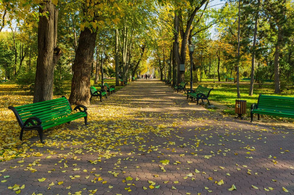 Photograph by Олег Ершов