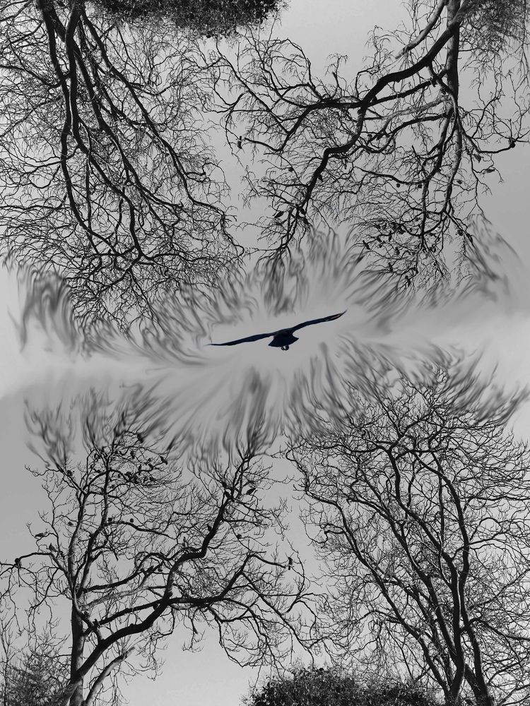 Photograph by Nargiz