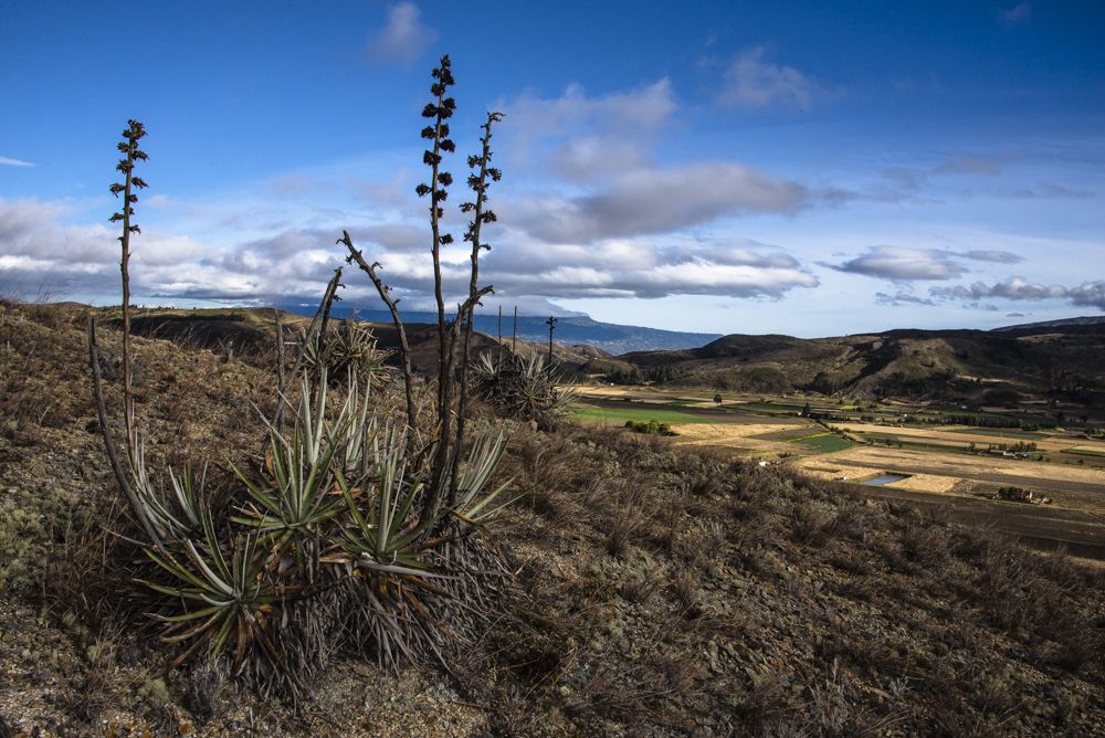 Photograph by Juan Sebastian