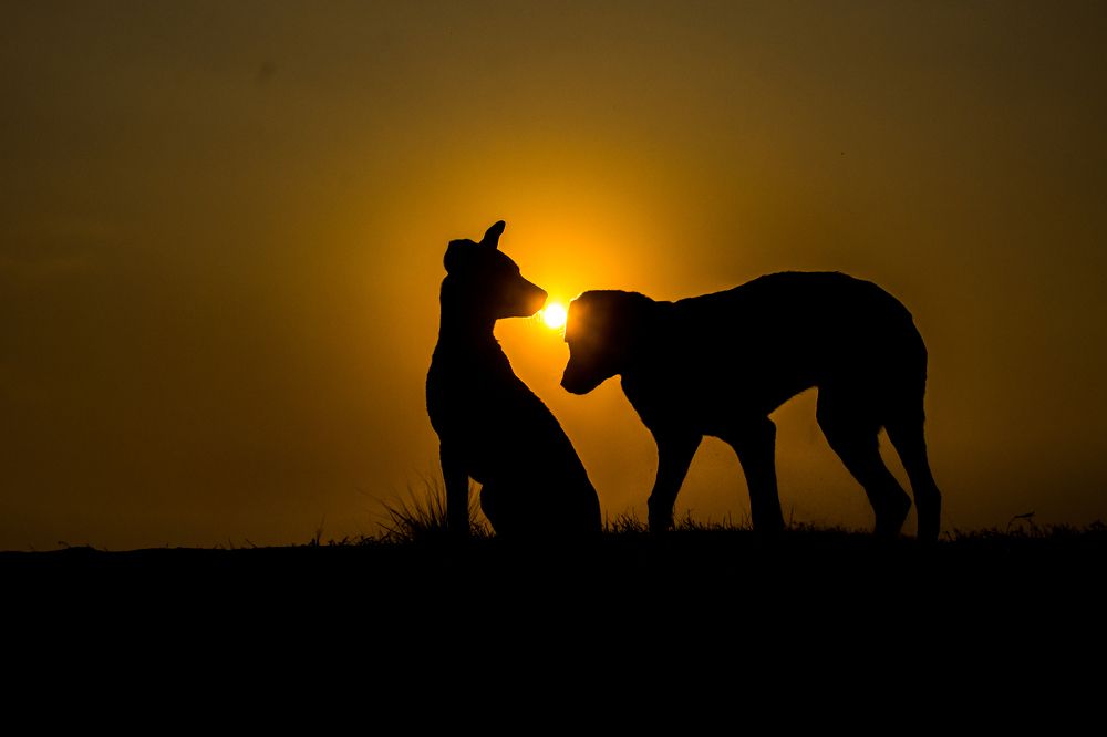 Photograph by Shristi Singh