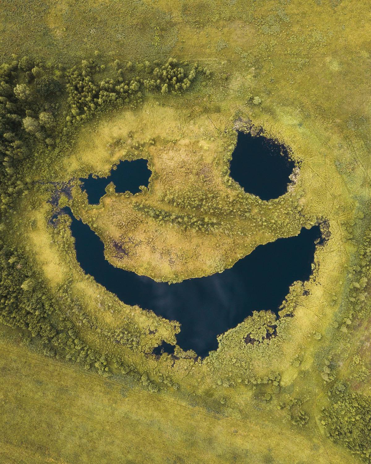 Улыбка природы