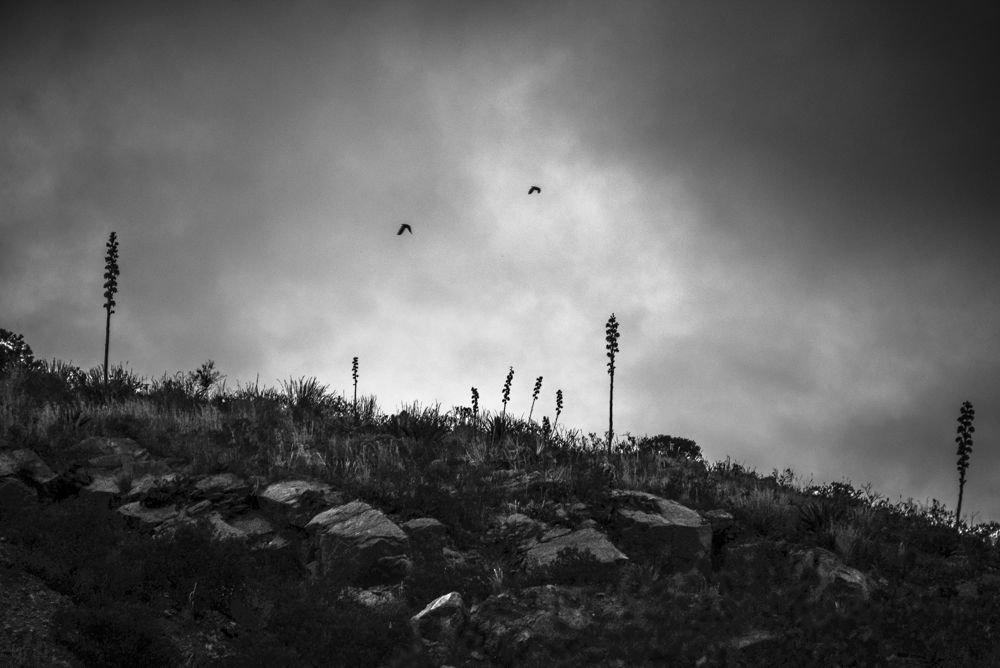 Photograph by Juan Sebastian