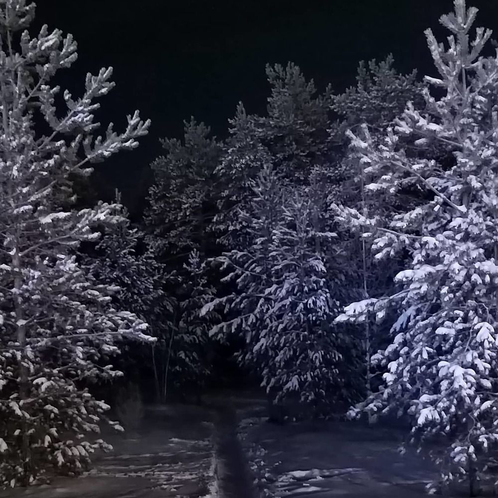 Photograph by Алексей Пантелеев