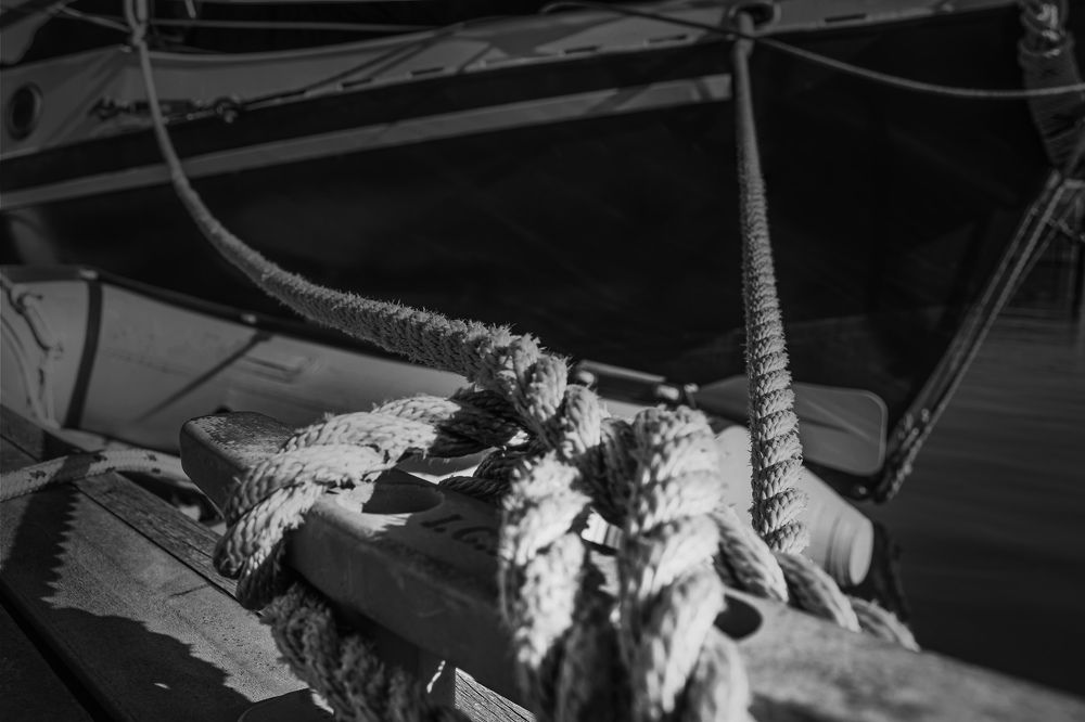 Photograph by Vitaliy Tuzov