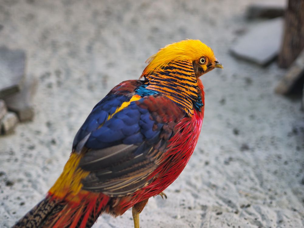 Photograph by Дмитрий Панченко