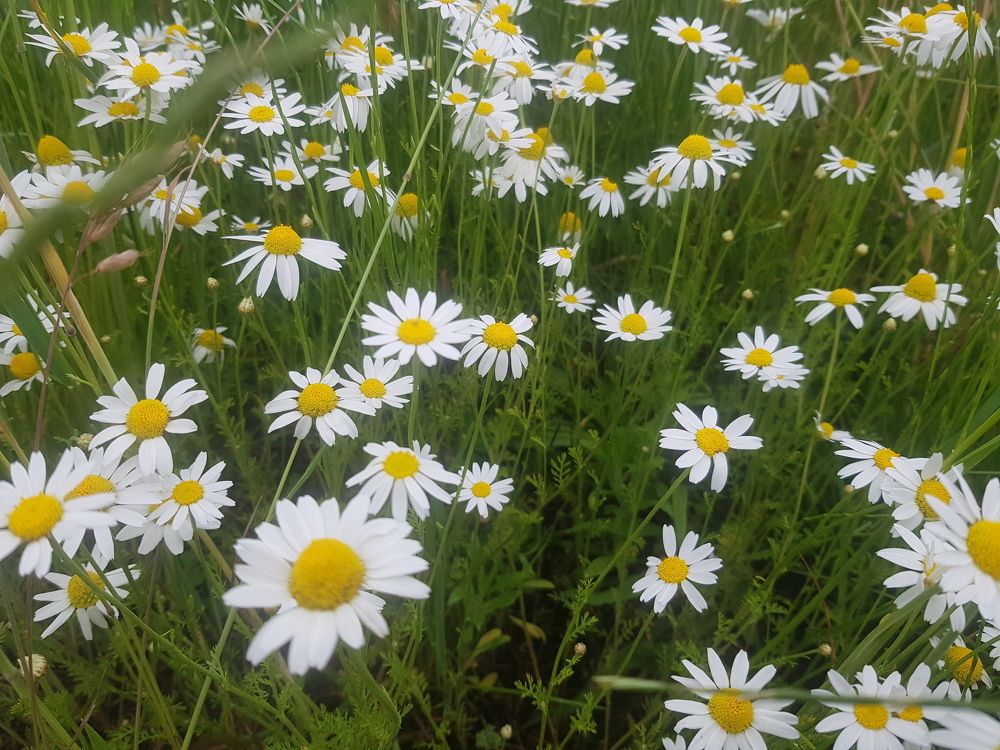 Photograph by Ліана Устимчук