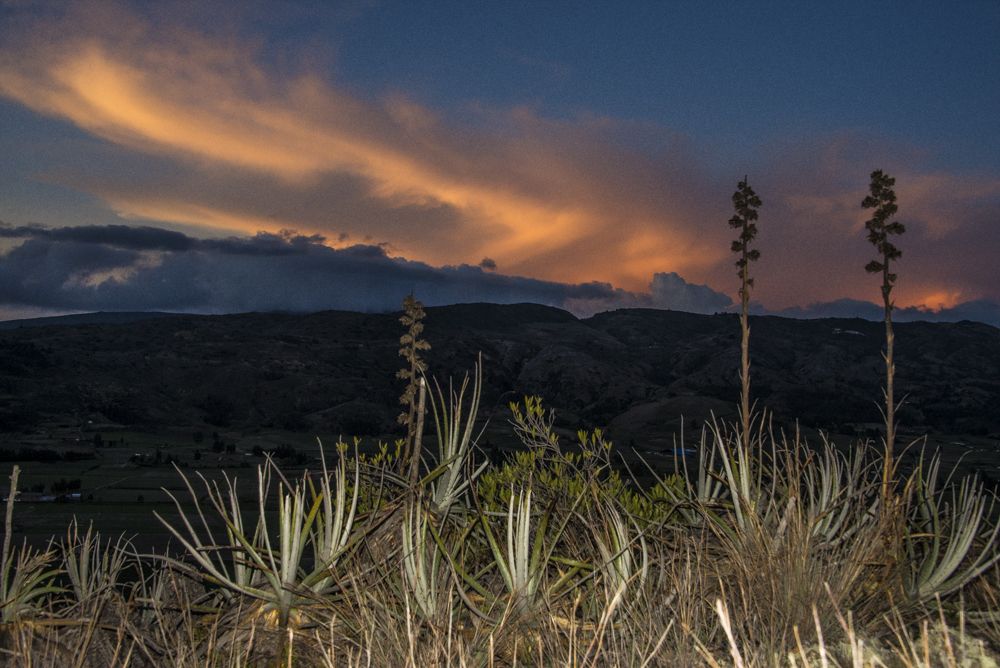 Photograph by Juan Sebastian