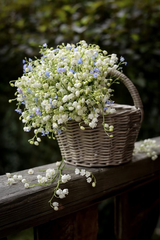 Photograph by Татьяна Кытина