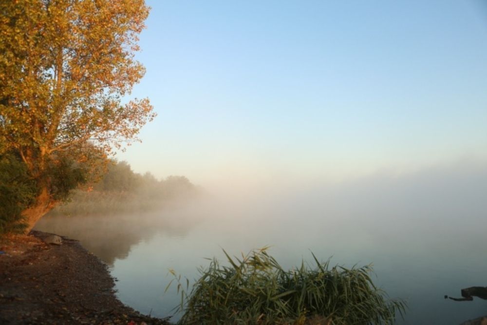 Photograph by Марго Коваленко