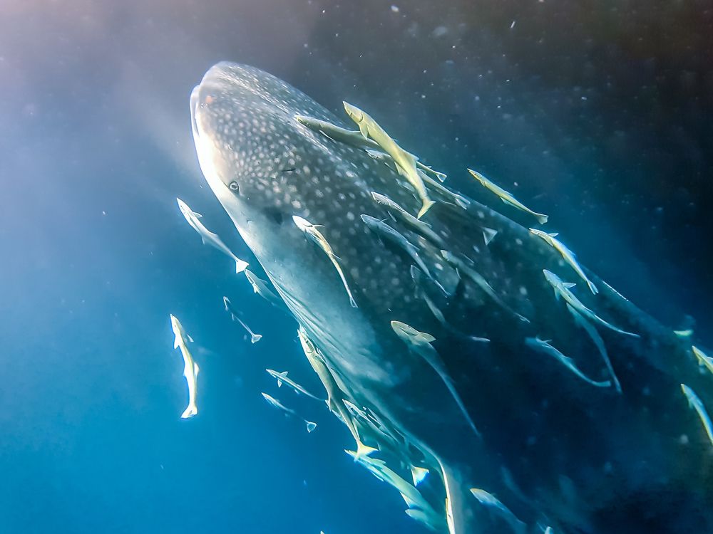 Photograph by Илья Труханов