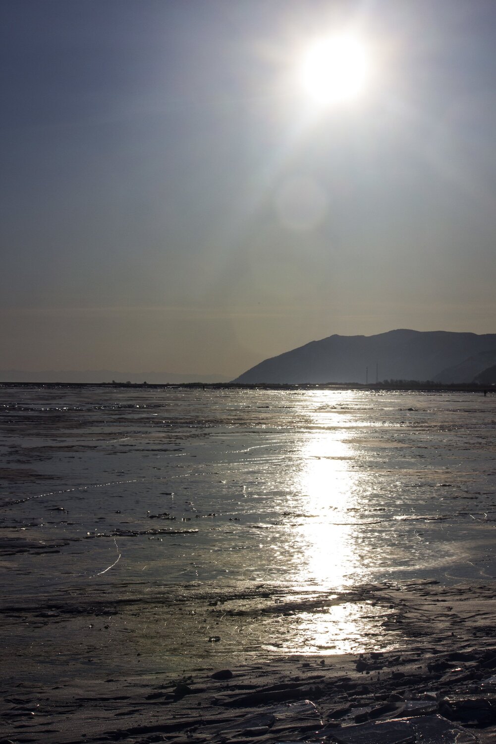 Photo #5887893