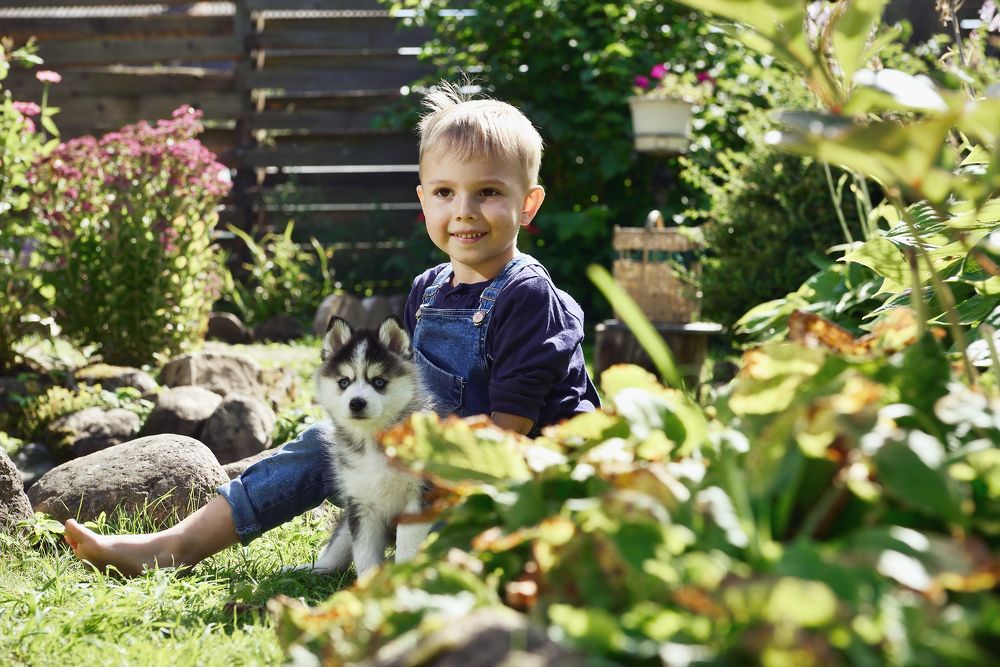 Фотография автора Алексей Воронцов