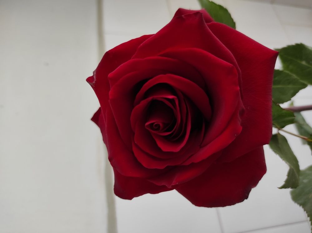 Photograph by Oleksandr Ivanyuk