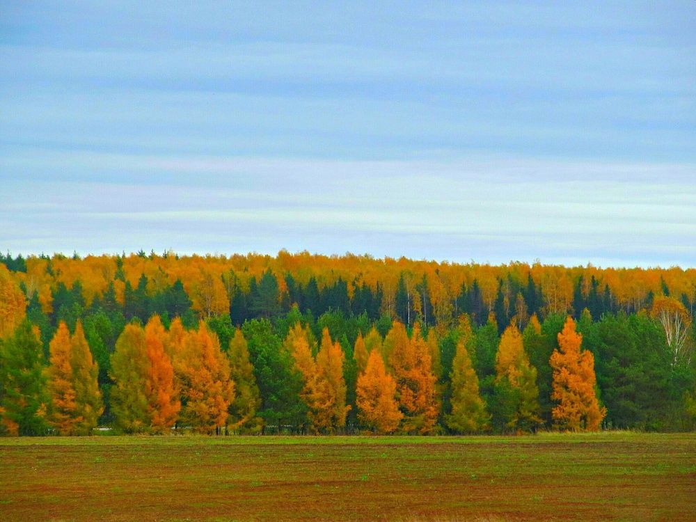 Photograph by Ирина Дьяченко