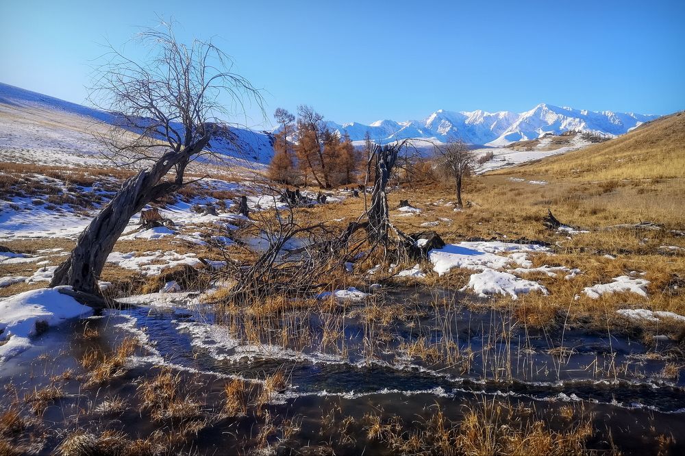 Поздняя осень.